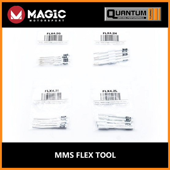 Quantum-MMS-13