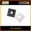 Plate and gasket